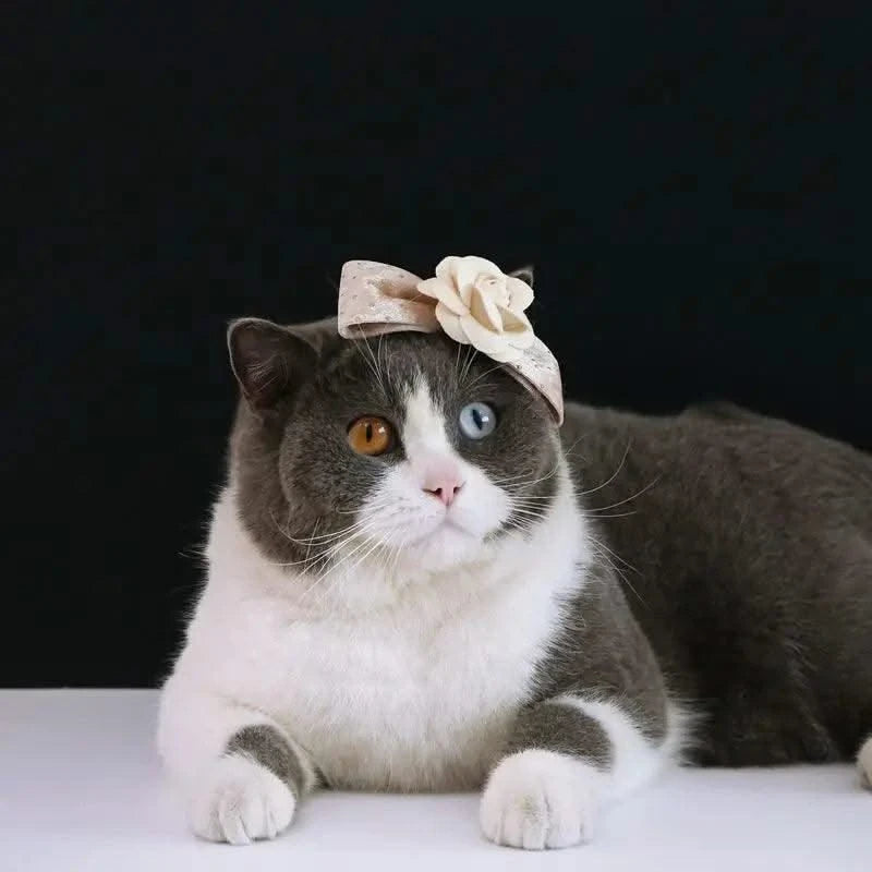 Cat Accessories Party Cat Headdress Wear Puppy Hairband Dog Dress Up Hat Pet Hair Accessories Bow Tie Dog Bowknot Pet Hair Hoop