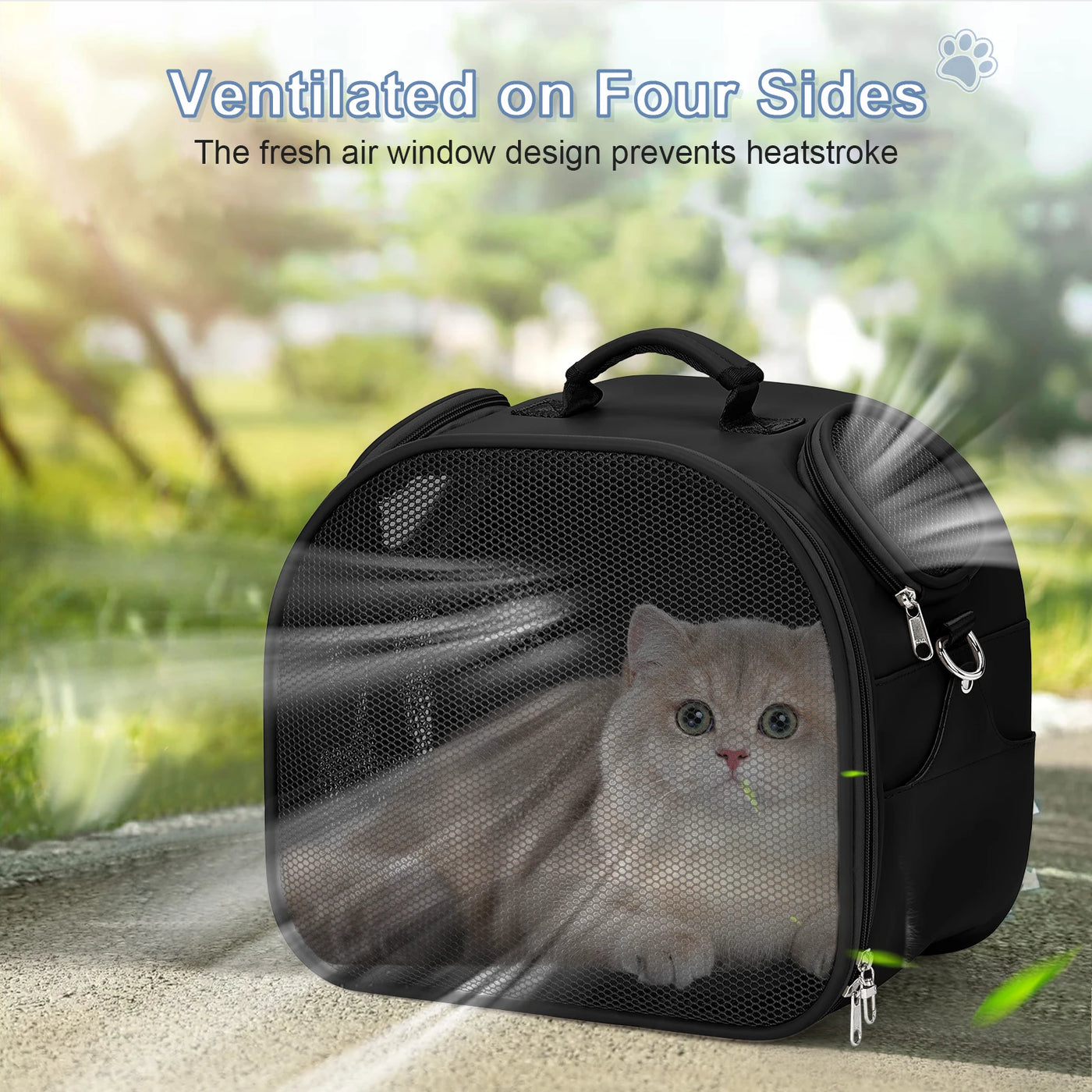 Cat, Dog Carrier Bag for Pets Up to 13 Lbs, Carrier for Medium Small Cats Dogs Airline Approved Travel Carry As Pets Go to Home
