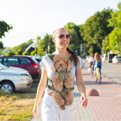 Pet Carriers Comfortable Carrying For Small Cats Dogs Backpack Travel Breathable Outgoing Bag Durable Pet Dog Carrier Bag