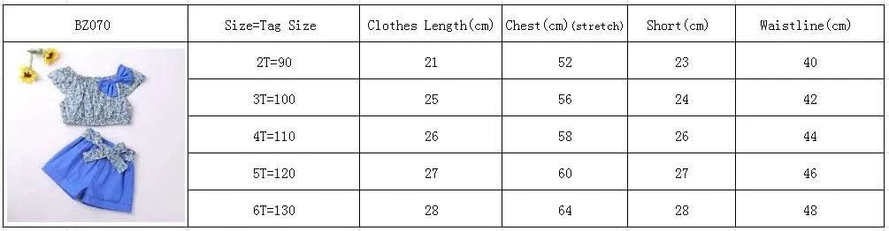 Clothes For Girls Summer Toddler Girls Clothes 2Pcs Outfits Kids Clothing For Girls Tracksuit Suit For Girls Children Clothing