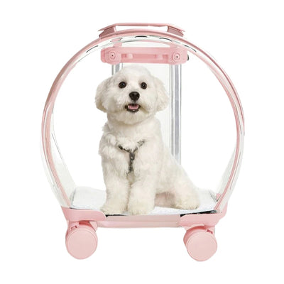 Clear Panoramic Pet Carrier Trolley Bag, Approved Portable Cat Dog Carrier for Small Medium Pets