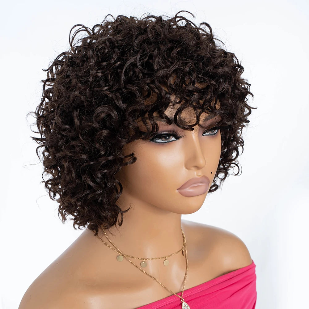 Short Curly Human Hair Wigs for Black Women 8 inch Short Curly Wigs for Black Women No Lace Front Human Hair Wigs (WIG P4/27)