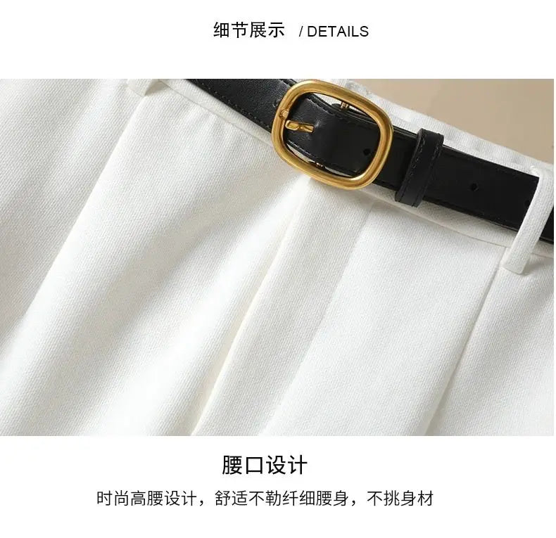 Suit Wide-Leg Pants for Women High Waist Temperament Drooping Wide-Leg Pants 2024 Spring New Loose Casual Trousers Ins