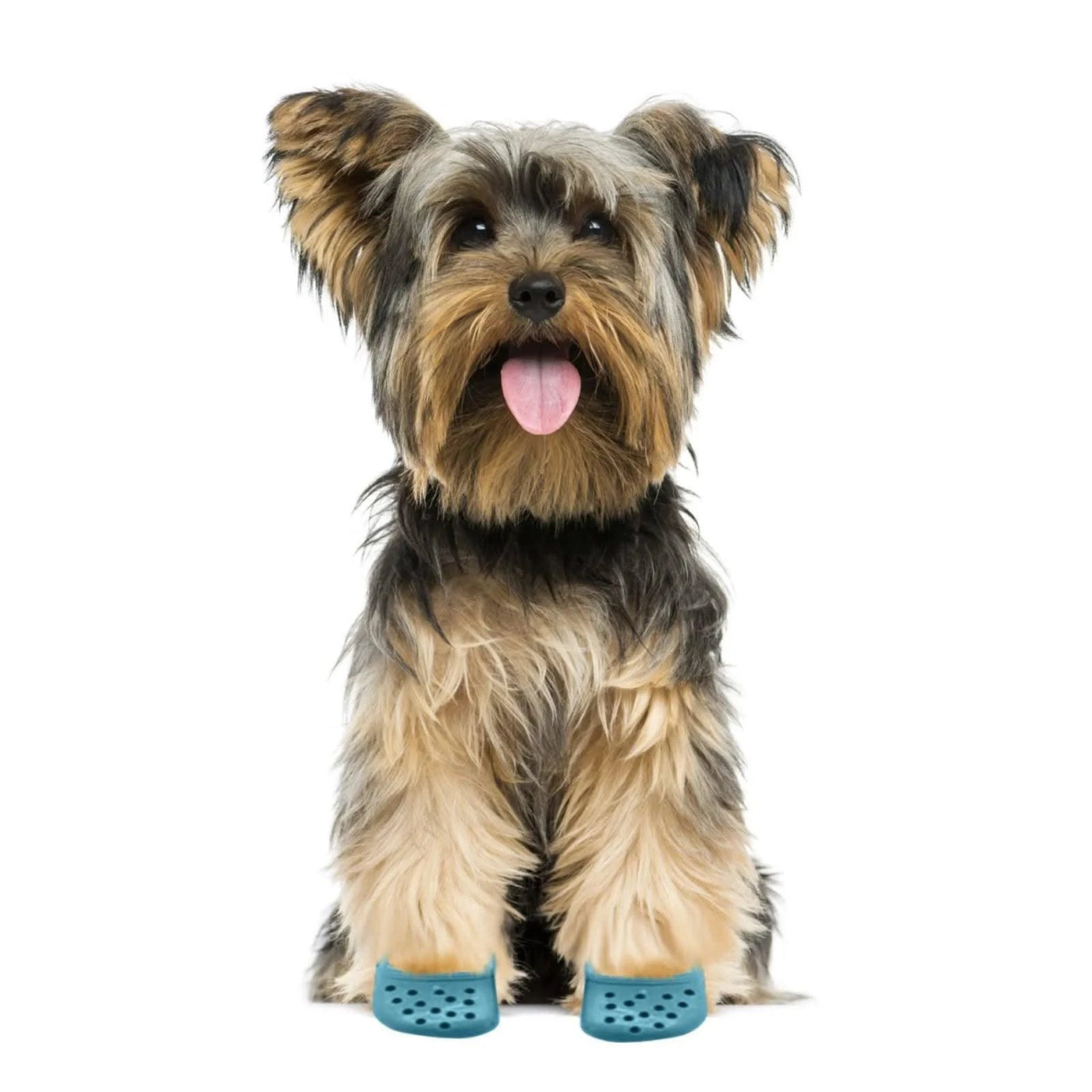 Dog Accessories Pet Shoes Cat And Dog Decorative Shoes Suitable For Pet Dog Grooming