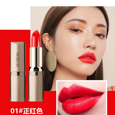 Pink Matte Lipstick Waterproof 24 hours Long Lasting Red Lipsticks Resistant Rose Lip Tint Velvet Lipstic Cosmetic Women Makeup
