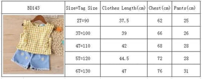 Clothes For Girls Summer Toddler Girls Clothes 2Pcs Outfits Kids Clothing For Girls Tracksuit Suit For Girls Children Clothing