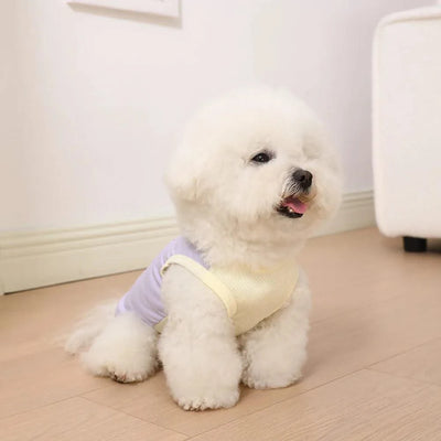 Pet Summer Cute INS  Breathable Patch Traction Tank Top Dog summer cloths  Cooling Vest for Dog  sun protective