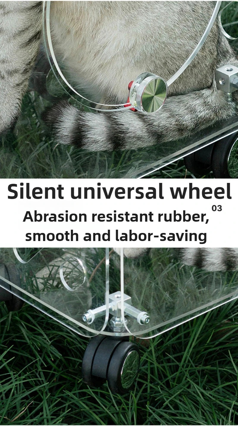 Portable Pet Outdoor Use Transparent Cat Bags Travel Box Large Space Breathable Mobile Easy Interaction Pet Carrying Supplies