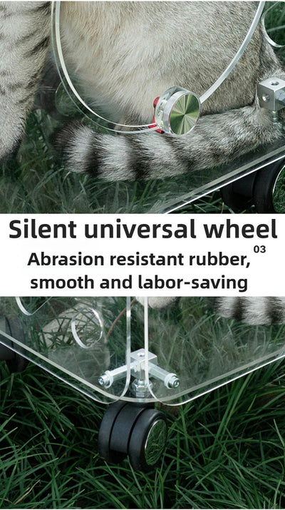 Portable Pet Outdoor Use Transparent Cat Bags Travel Box Large Space Breathable Mobile Easy Interaction Pet Carrying Supplies