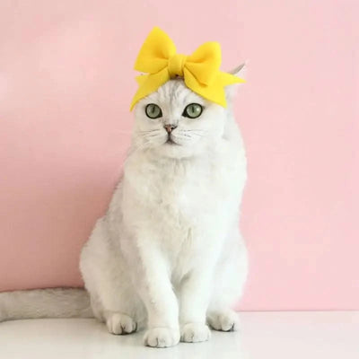 Cat Accessories Party Cat Headdress Wear Puppy Hairband Dog Dress Up Hat Pet Hair Accessories Bow Tie Dog Bowknot Pet Hair Hoop