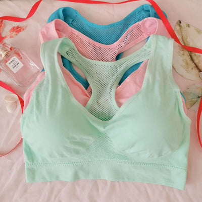 Women Breathable Absorb Sweat Sports Bra Shockproof Padded Gym Running Double Layer Seamless Yoga Sports Bra Underwear