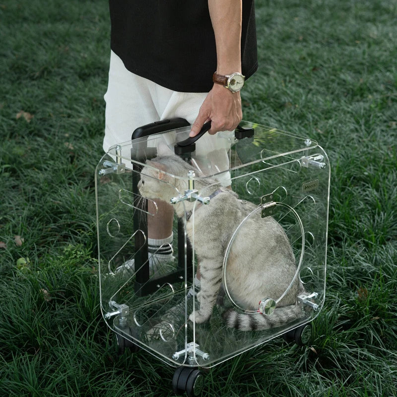 Portable Pet Outdoor Use Transparent Cat Bags Travel Box Large Space Breathable Mobile Easy Interaction Pet Carrying Supplies
