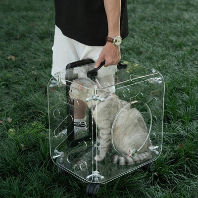 Portable Pet Outdoor Use Transparent Cat Bags Travel Box Large Space Breathable Mobile Easy Interaction Pet Carrying Supplies