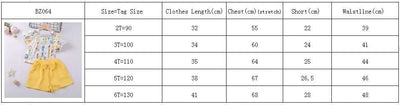 Clothes For Girls Summer Toddler Girls Clothes 2Pcs Outfits Kids Clothing For Girls Tracksuit Suit For Girls Children Clothing