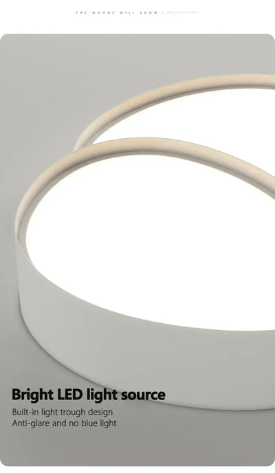 Modern LED Ceiling Lamp Simple Luxury Lighting for Living Room Bedroom Kitchen Cabinets Balcony Home Decor