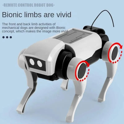 Children's Remote Control Mechanical Robot Dog, Toy Science, Teaching,  DIY Assembling Model Electric Set Toys for Boys Kids