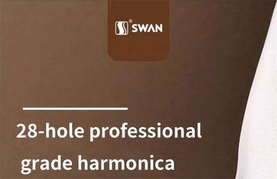 Harmonica 28 holes in key of C  with case for beginners adults professionals students friends gifts