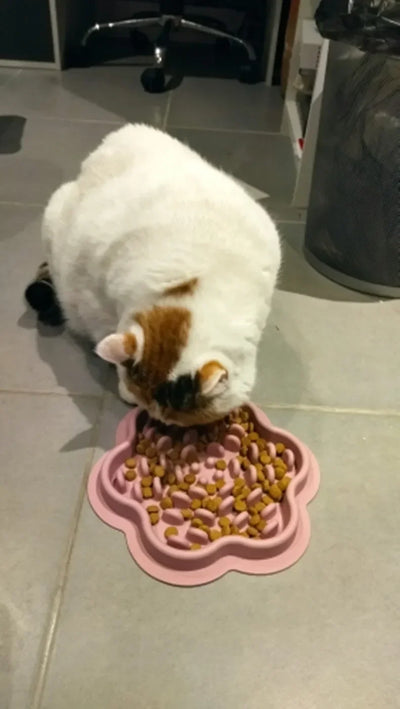 Pet Products Mat For Dogs Cats Slow Food Bowls With Suction Cup Feeding Food Silicone Lick Pad Dog Slow Feeders Treat Dispensing