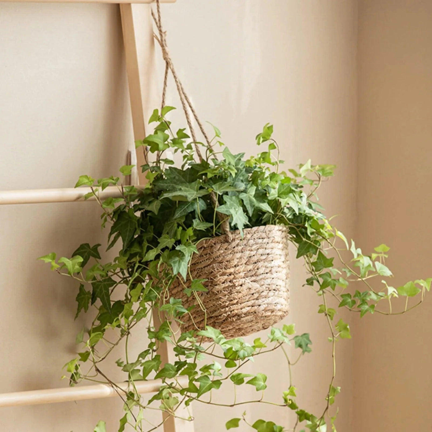 Garden Hanging Planter Hanging Woven Planter Basket Decorative Large Capacity Flower Pot Holder Plant Hangers Home Decoration