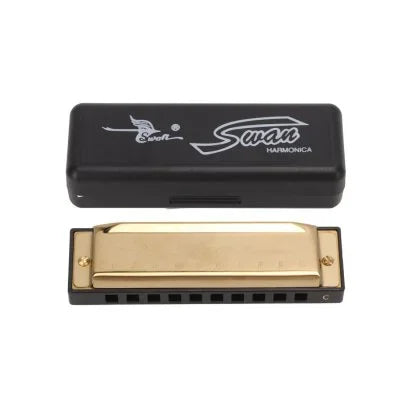 Harmonica 10 Hole 20 Tones Harmonica C G Key Harmonica Mouth Organ Suitable For Music Enthusiasts Woodwind Musical Instrument