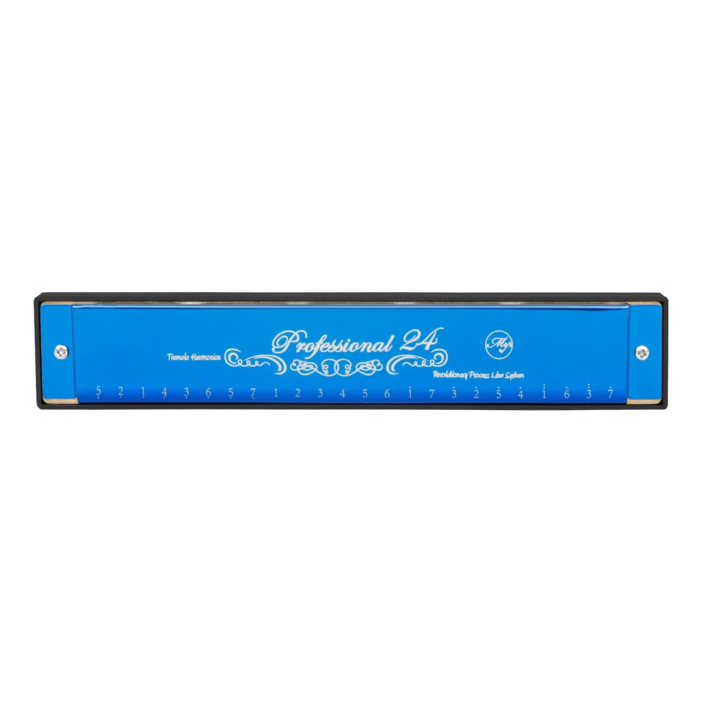 24 Holes Harmonica Key of C Tremolo Suzuki Harmonica Double-side Tremolo Harmonica Beginner Metal Instruments Children's Gifts