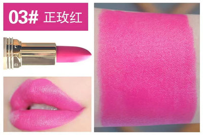 Pink Matte Lipstick Waterproof 24 hours Long Lasting Red Lipsticks Resistant Rose Lip Tint Velvet Lipstic Cosmetic Women Makeup