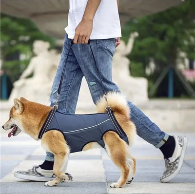 Pet Care Carrier Senior Elderly Dog Back Leg Barrier Walking Aid Disabled Pet Care Carrier