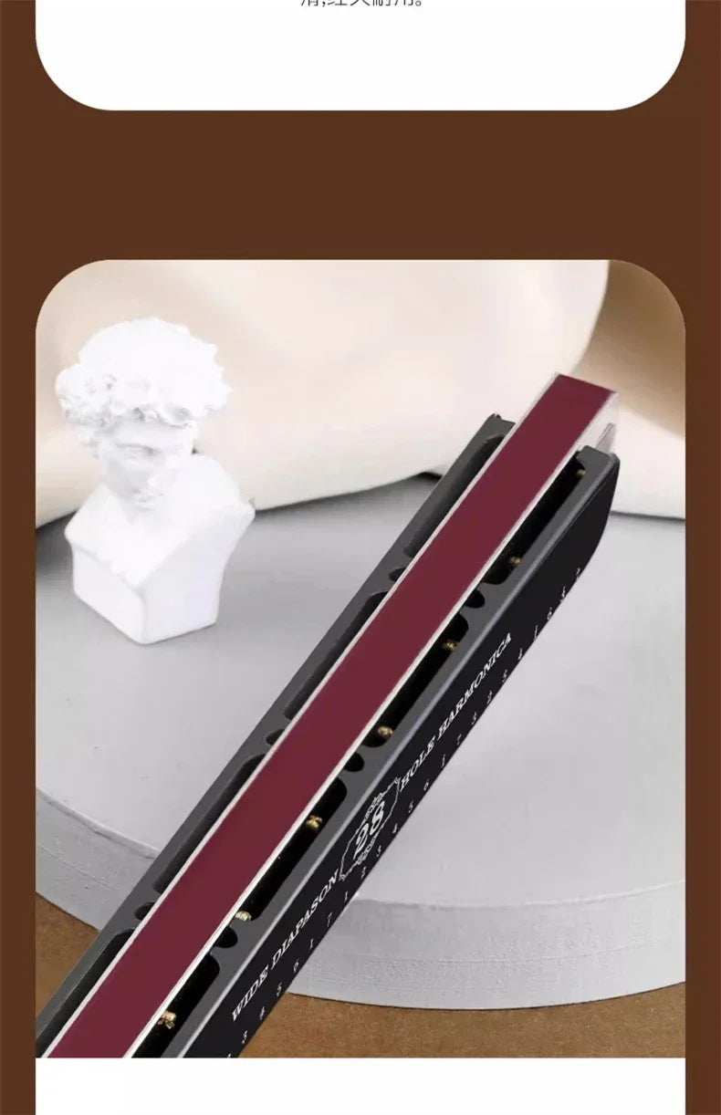 Harmonica 28 holes in key of C  with case for beginners adults professionals students friends gifts