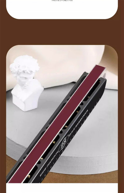 Harmonica 28 holes in key of C  with case for beginners adults professionals students friends gifts