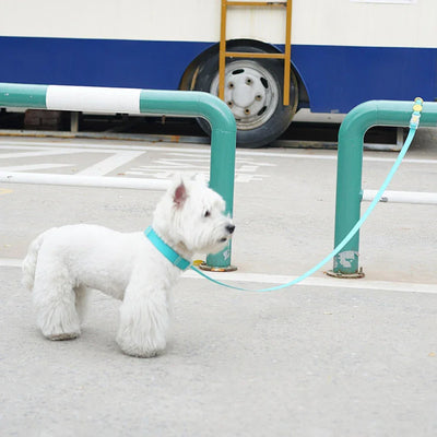 1.5m/2.1m Pet Leashes Cat Small Medium Dogs Leash Walking Guide Rope