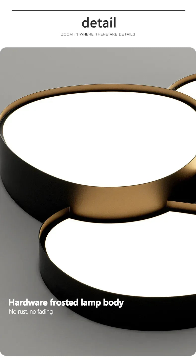 Modern LED Ceiling Lamp Simple Luxury Lighting for Living Room Bedroom Kitchen Cabinets Balcony Home Decor