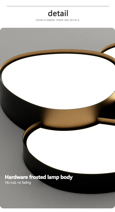 Modern LED Ceiling Lamp Simple Luxury Lighting for Living Room Bedroom Kitchen Cabinets Balcony Home Decor