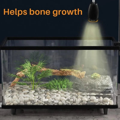 Pet Reptile Lamp 25/50/75W UVA+UVB 3.0 Pet Heat Lamp Bulb, Turtle Light Heating Lamp Amphibians Lizards Temperature Controller