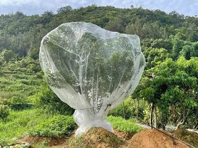 Garden Plant Insect Netting Vegetable, Flower and Fruit Care Cover Netting Pest Control Bird-proof 60 Mesh Protective Netting