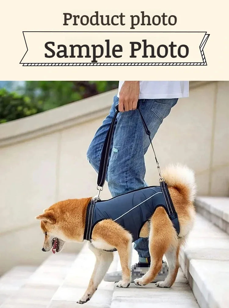 Pet Care Carrier Senior Elderly Dog Back Leg Barrier Walking Aid Disabled Pet Care Carrier