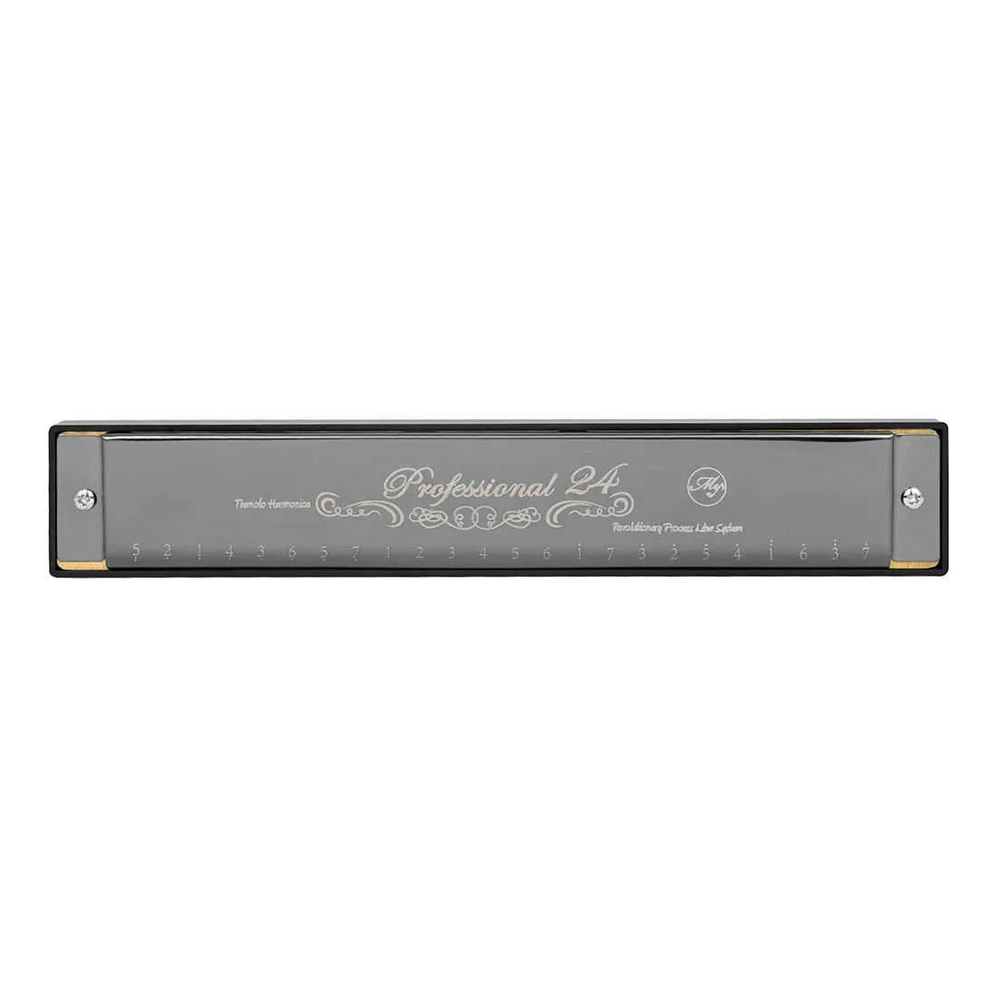 24 Holes Harmonica Key of C Tremolo Suzuki Harmonica Double-side Tremolo Harmonica Beginner Metal Instruments Children's Gifts