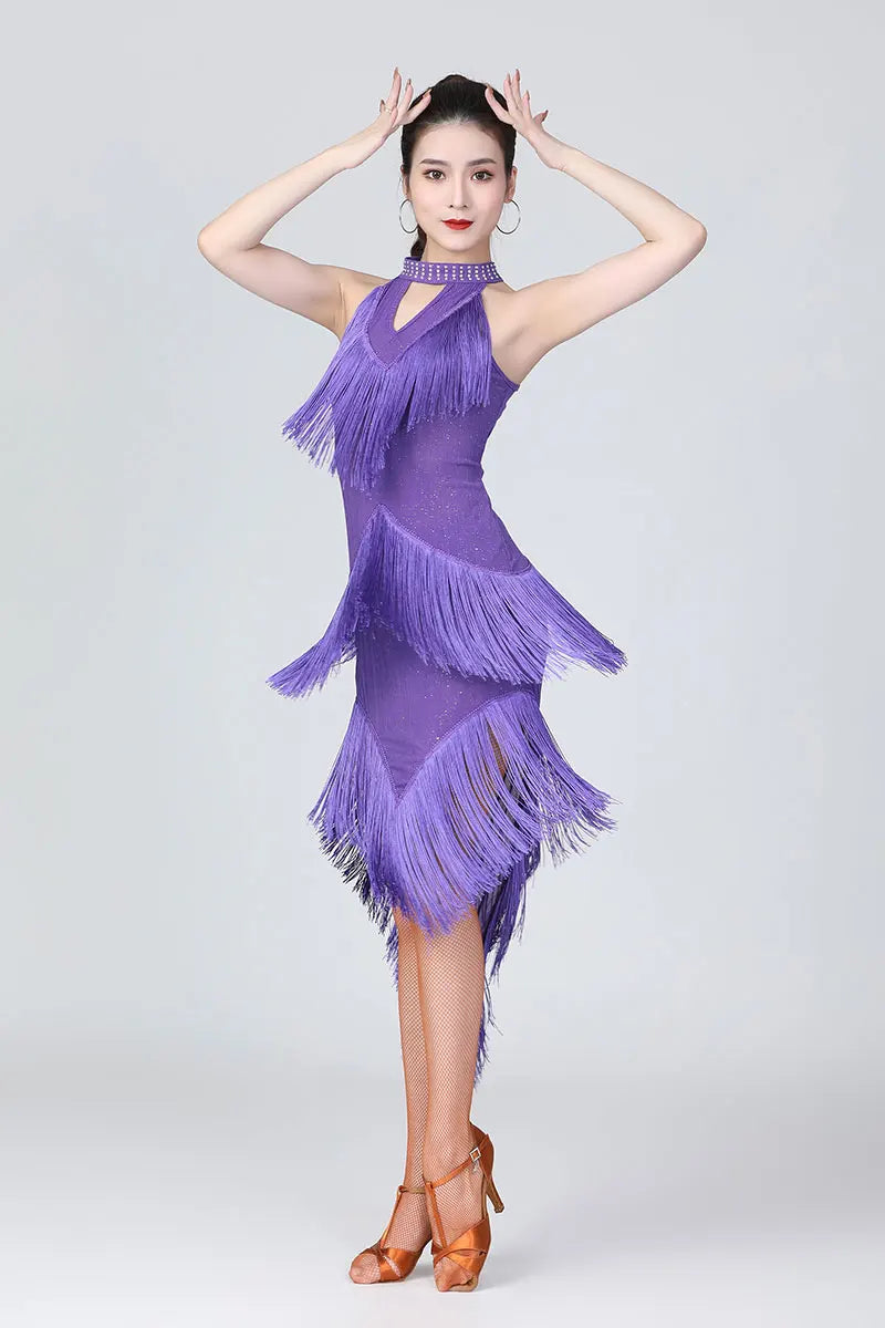 Lady Performance Dress Women Latin Dance Clothes Latin Dress Girls Tassel Latin Dance Dresses Dancer Clothing
