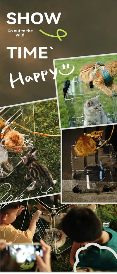 Portable Pet Outdoor Use Transparent Cat Bags Travel Box Large Space Breathable Mobile Easy Interaction Pet Carrying Supplies