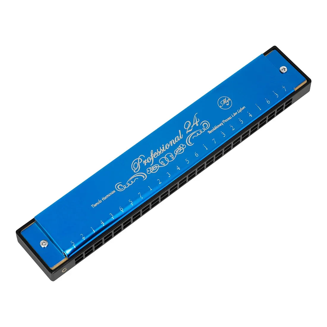 24 Holes Harmonica Key of C Tremolo Suzuki Harmonica Double-side Tremolo Harmonica Beginner Metal Instruments Children's Gifts