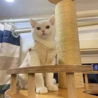 Cat Clothes Warm Lambhair Vest Soft Cozy Winter Warm Fleece Sweatshirt Puppy Kitten Jacket Coat Pet Sphynx Costume Sweater