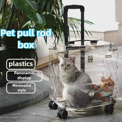 Portable Pet Outdoor Use Transparent Cat Bags Travel Box Large Space Breathable Mobile Easy Interaction Pet Carrying Supplies