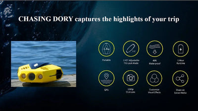 Mini Underwater Drone CHASING DORY Diving Drone with 1080P Camera 15M Depth APP control