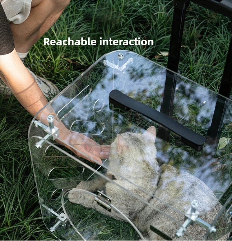 Portable Pet Outdoor Use Transparent Cat Bags Travel Box Large Space Breathable Mobile Easy Interaction Pet Carrying Supplies