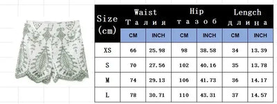 Woman 2 Pieces Shorts Sets 2024 New Fashion Embroidery Short Blouse Summer Women Suit Shorts Two Piece Set Womens Outfits