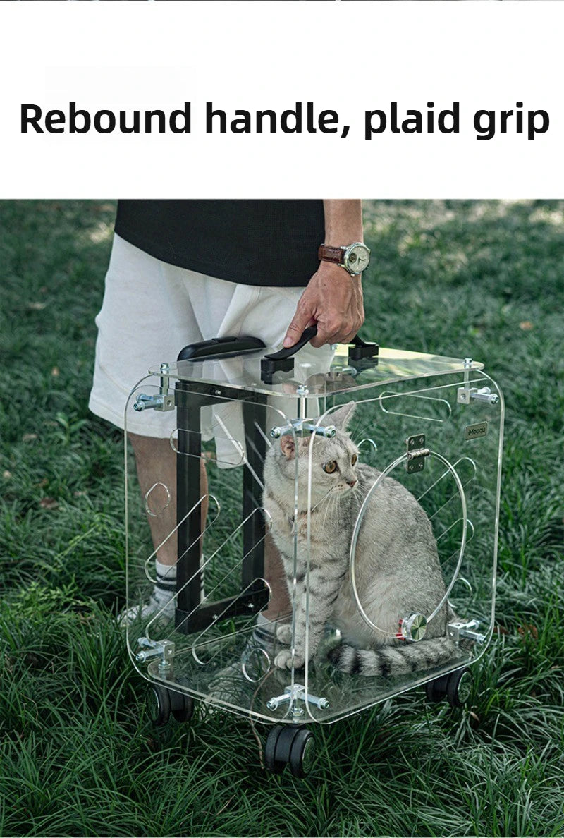 Portable Pet Outdoor Use Transparent Cat Bags Travel Box Large Space Breathable Mobile Easy Interaction Pet Carrying Supplies