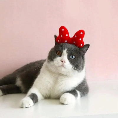 Cat Accessories Party Cat Headdress Wear Puppy Hairband Dog Dress Up Hat Pet Hair Accessories Bow Tie Dog Bowknot Pet Hair Hoop
