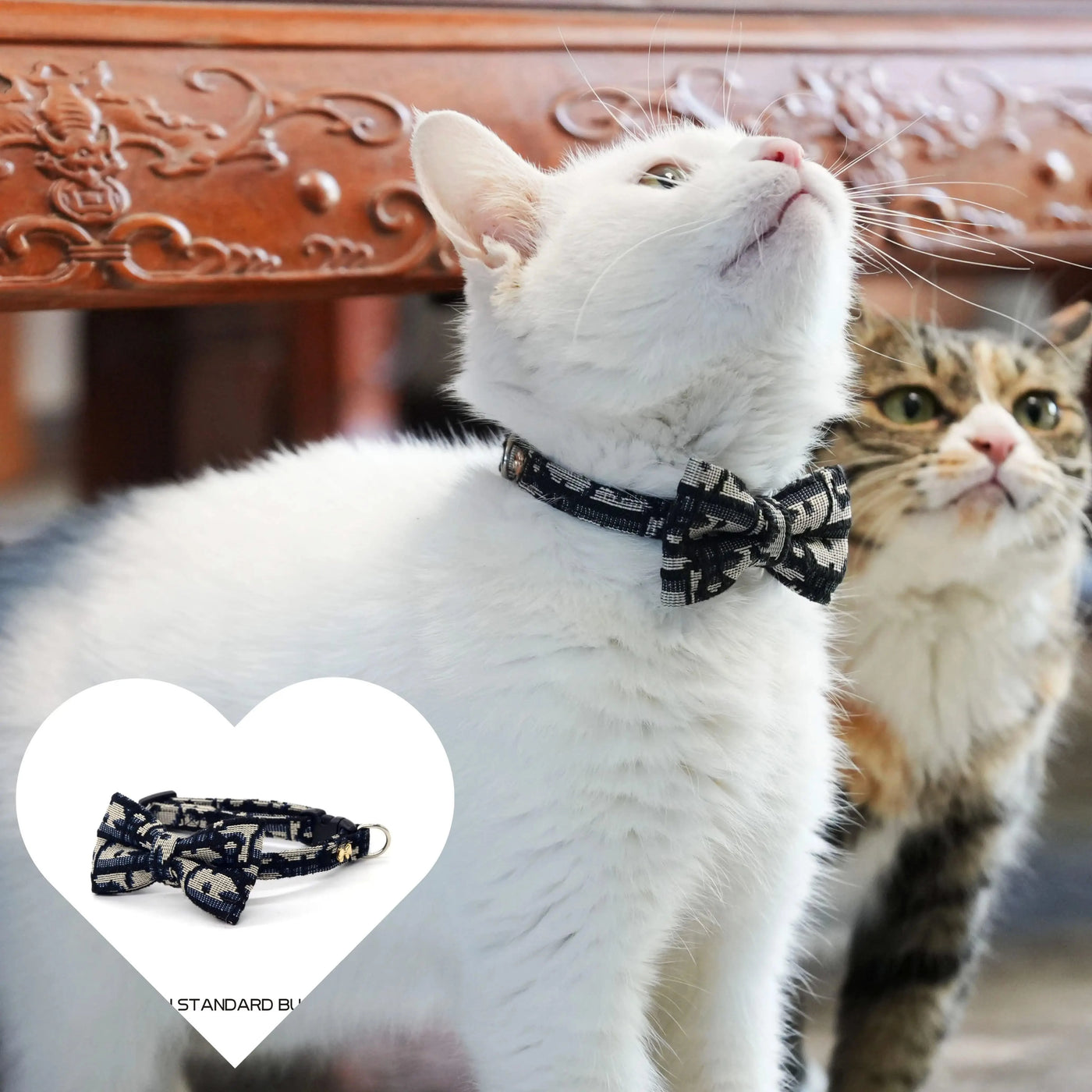 Simple and Stylish Pet Collar and Leash Set for Cats and Dogs - Cute, Durable, Safety Buckle with Bow Tie, Stain-Resistant